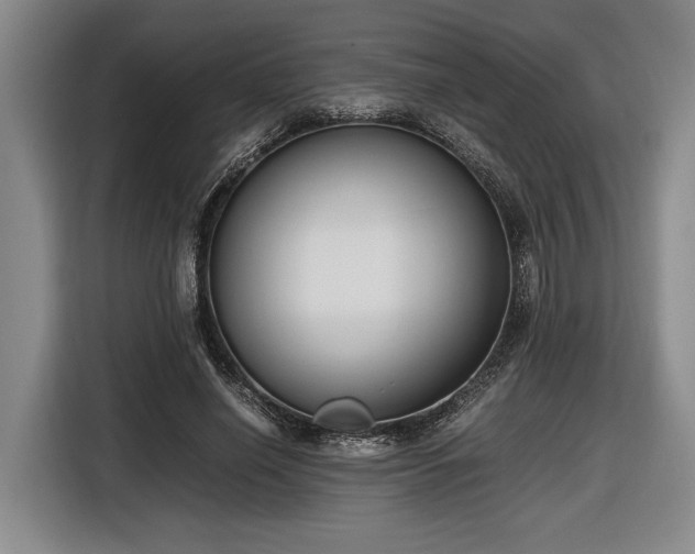 X0000116560638200912171410