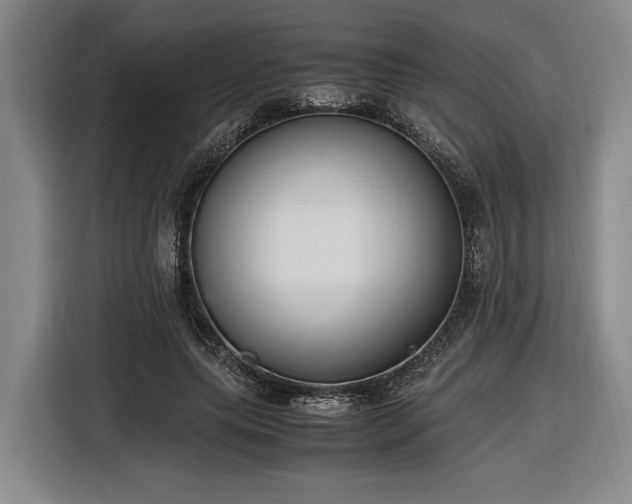 X0000116560639200912171410