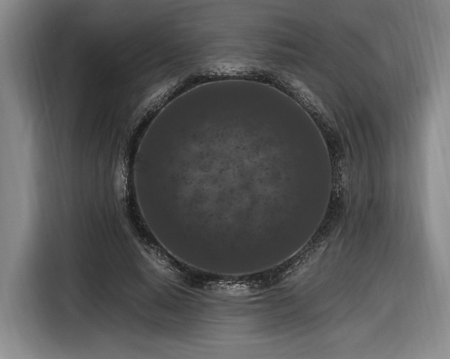 X0000116560640200912171410