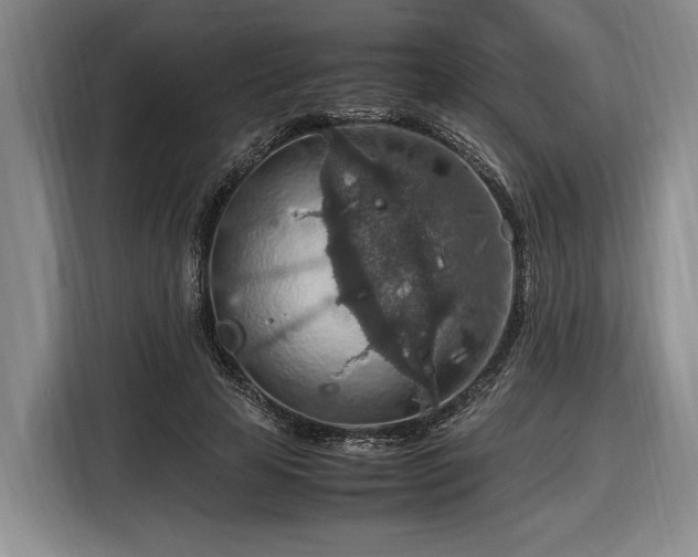 X0000116560641200912171410