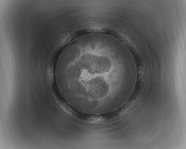 X0000116560642200912171410