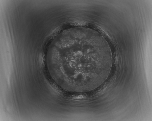 X0000116560643200912171410