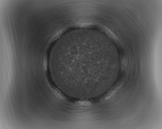 X0000116560644200912171410