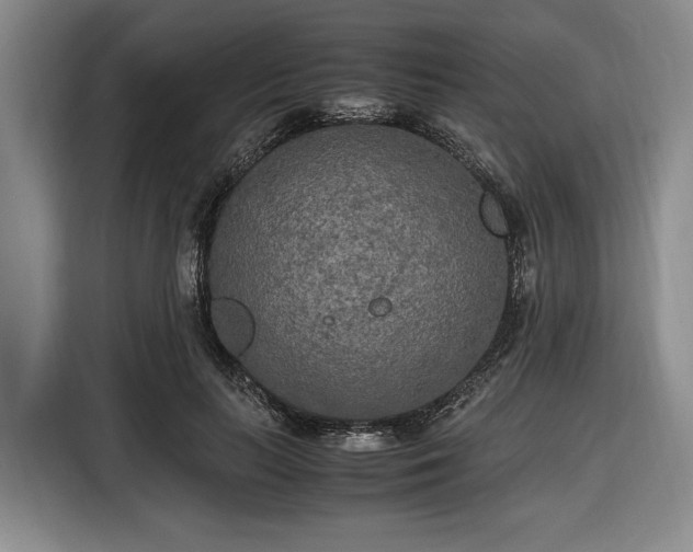 X0000116560647200912171410