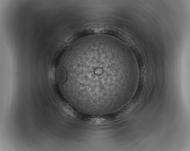 X0000116560650200912171410