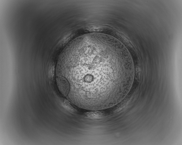 X0000116560652200912171410