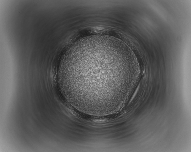 X0000116560653200912171410