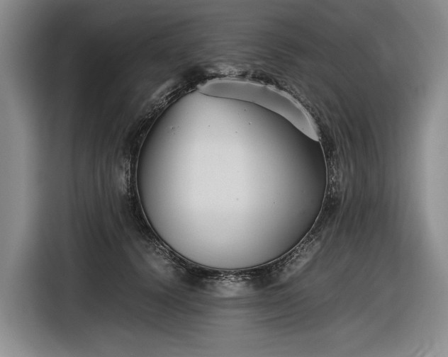 X0000116560656200912171410