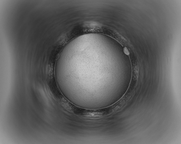 X0000116560657200912171410