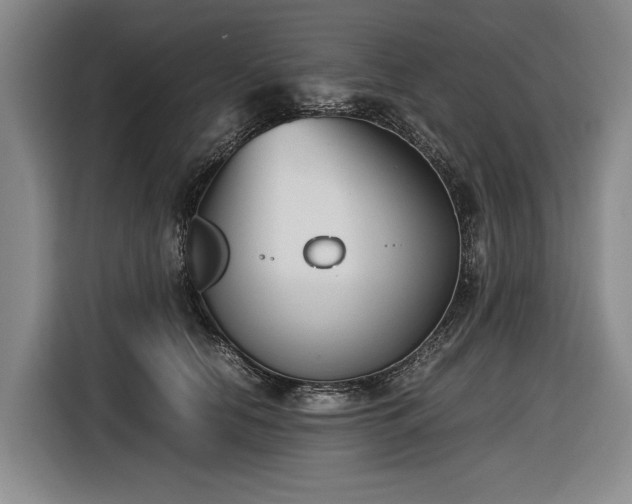 X0000116560658200912171410