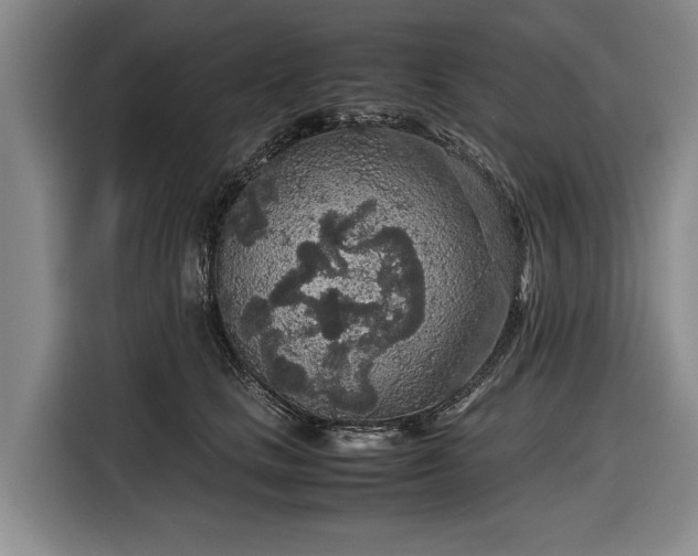 X0000116560661200912171410