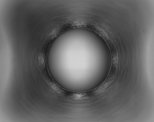 X0000116560662200912171411