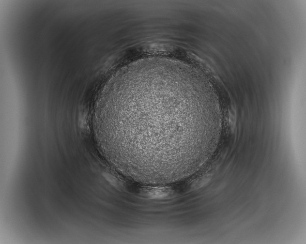 X0000116560663200912171411