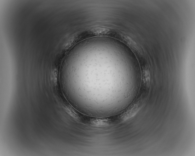 X0000116560664200912171411