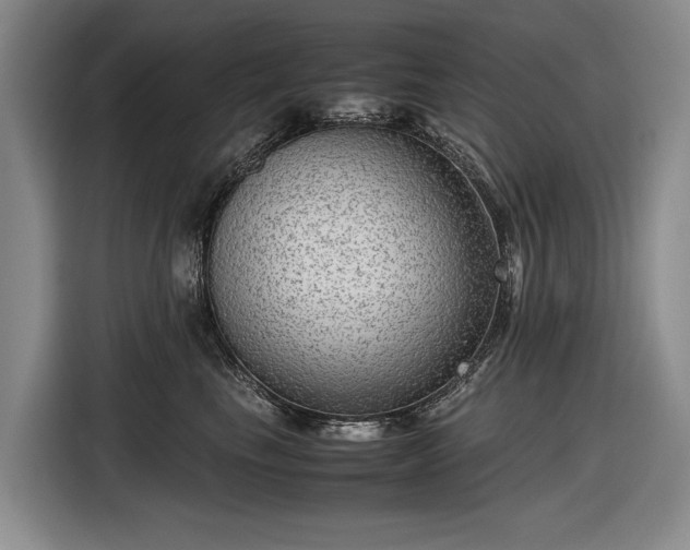 X0000116560665200912171411