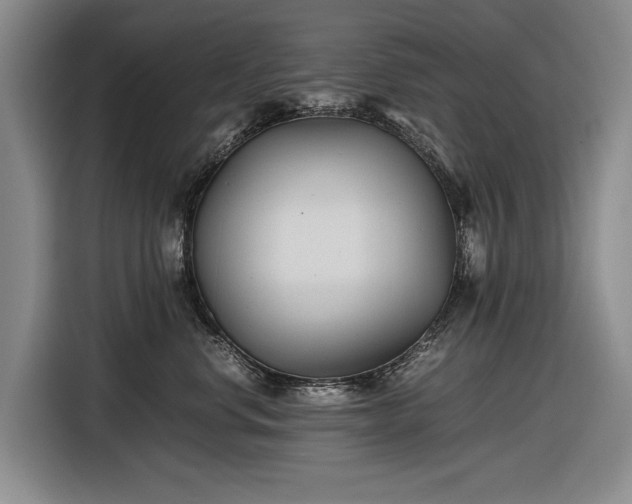 X0000116560668200912171411