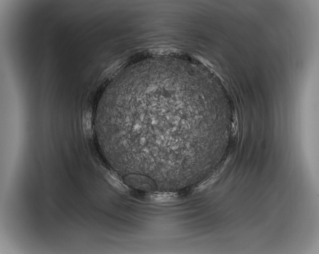X0000116560670200912171411