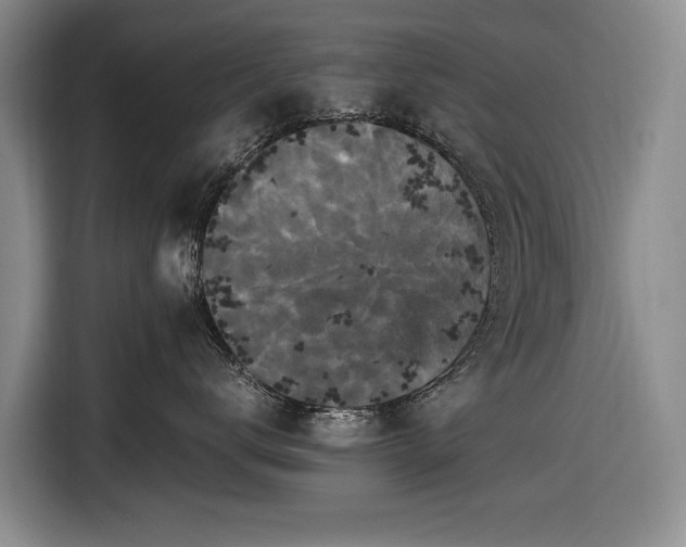 X0000116560672200912171411