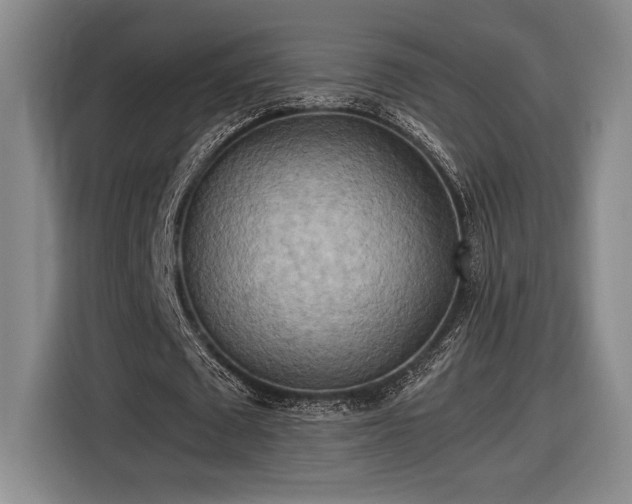 X0000116560673200912171410