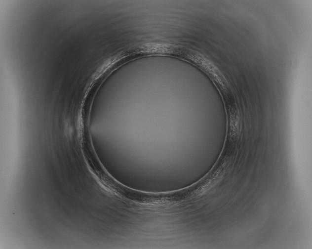 X0000116560674200912171410