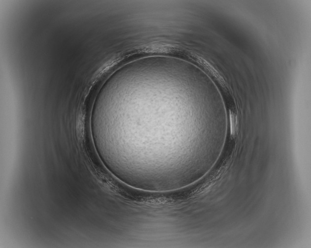 X0000116560675200912171410