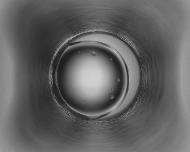 X0000116560676200912171410