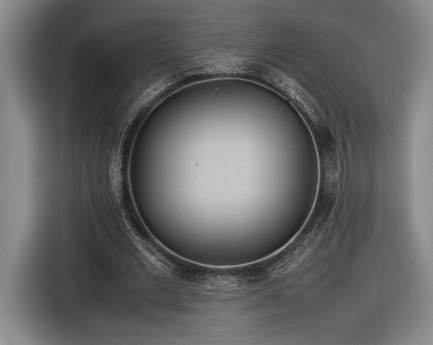 X0000116560677200912171410