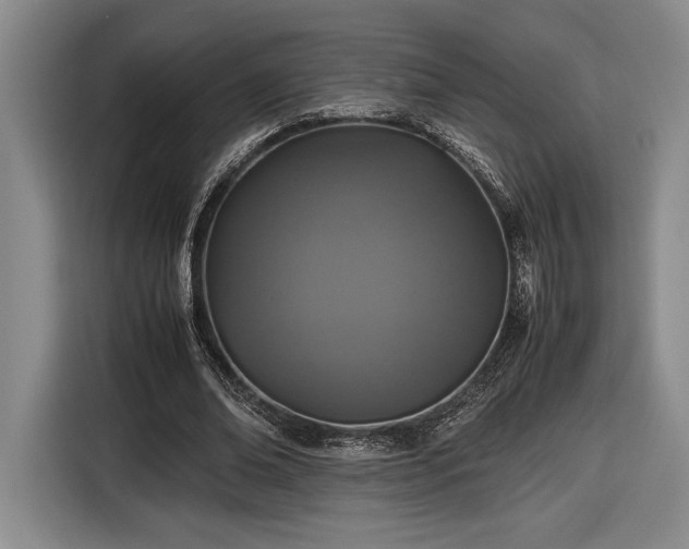 X0000116560678200912171410