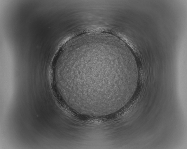 X0000116560679200912171410