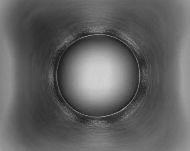 X0000116560681200912171410