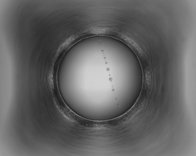 X0000116560682200912171410