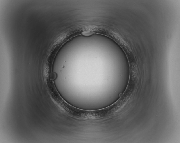 X0000116560683200912171410