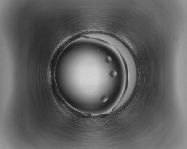 X0000116560684200912171410