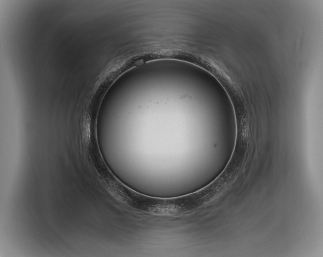 X0000116560685200912171410