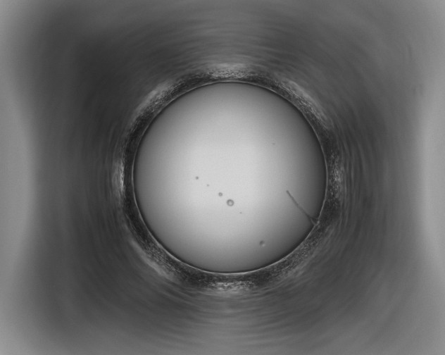 X0000116560686200912171410