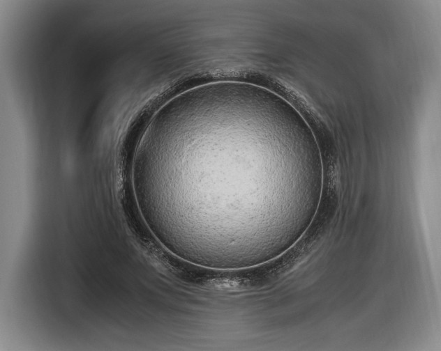 X0000116560687200912171410