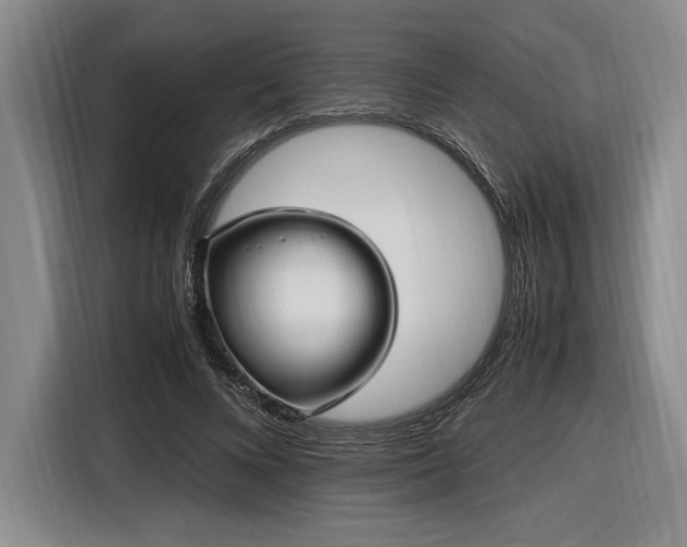 X0000116560688200912171410