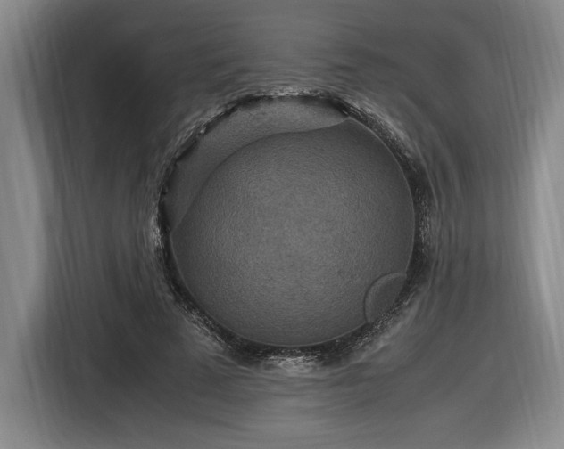 X0000116560689200912171410