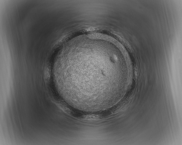 X0000116560691200912171410