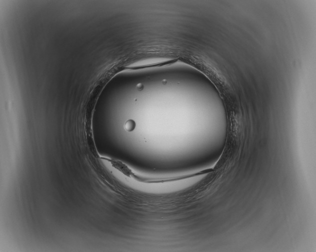 X0000116560692200912171410