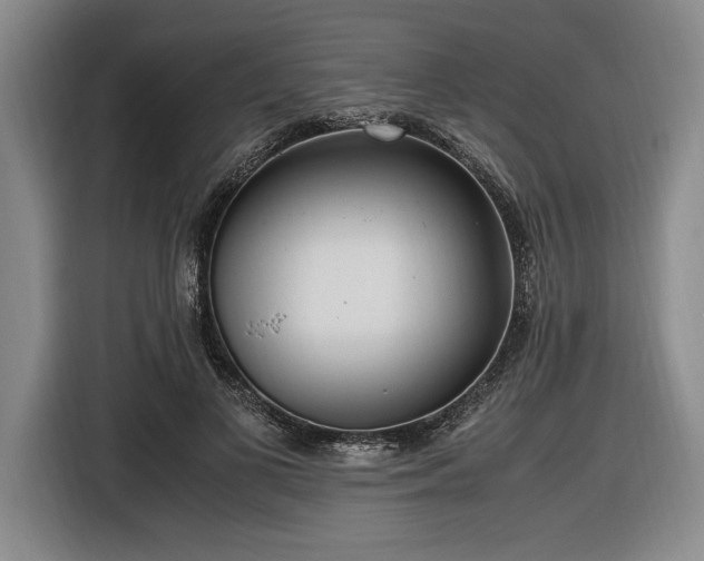 X0000116560693200912171410