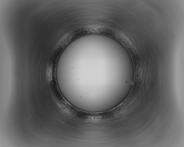 X0000116560694200912171410