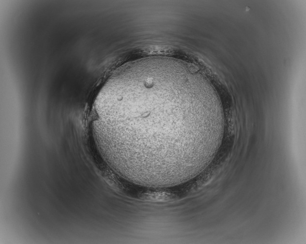 X0000116560695200912171410