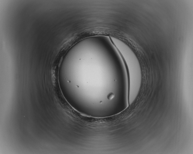 X0000116560696200912171410