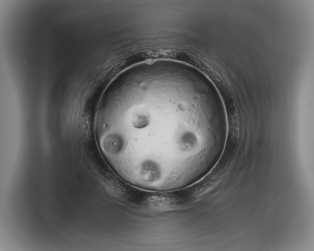 X0000116560699200912171410