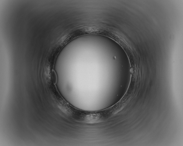 X0000116560700200912171410