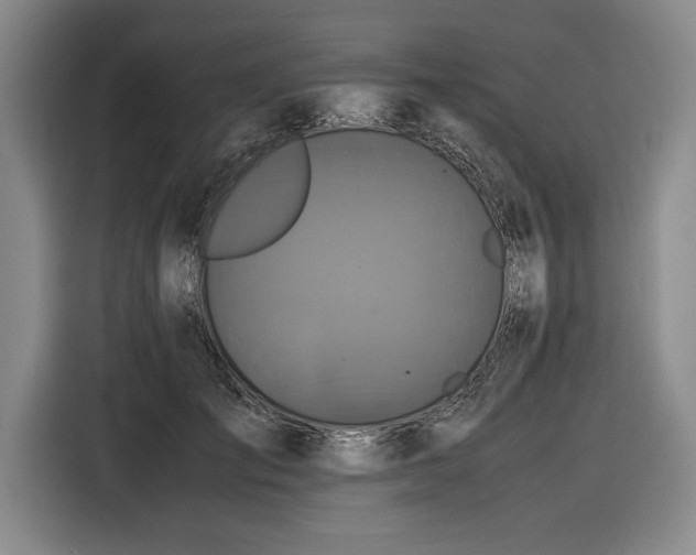 X0000116560701200912171410