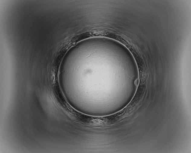 X0000116560703200912171410