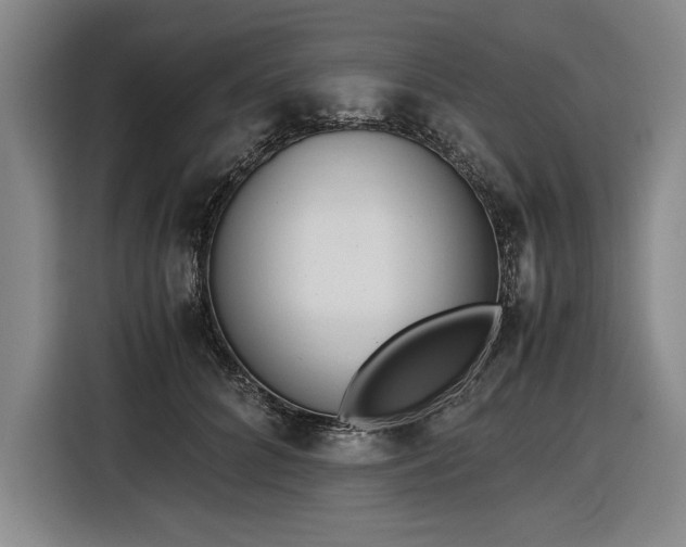 X0000116560704200912171410