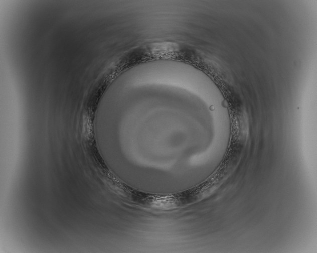 X0000116560705200912171410